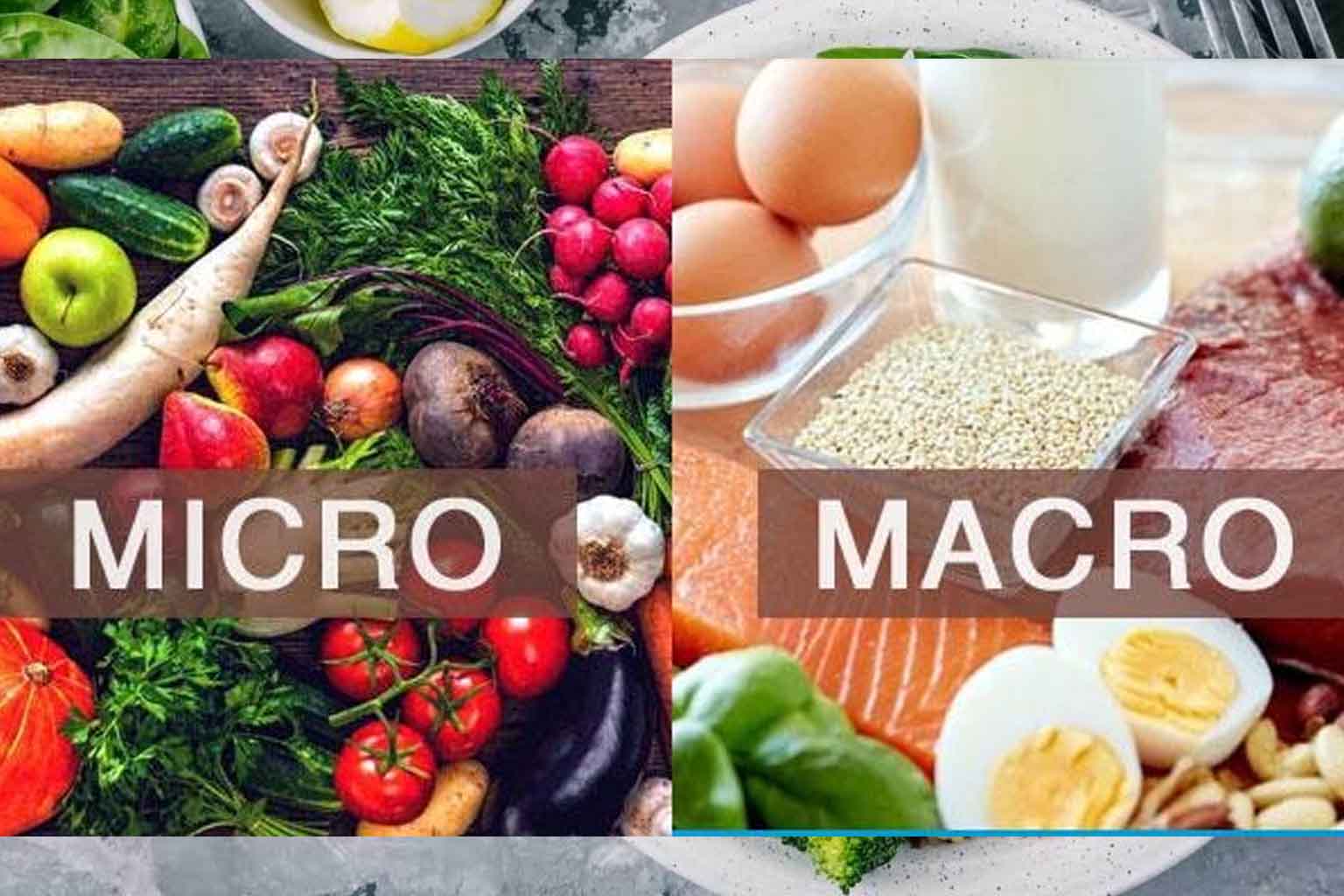 macros diet