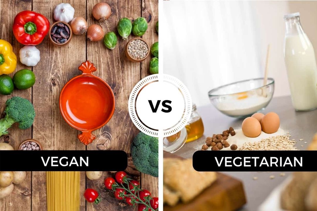 VEGETARIANISM vs VEGANISM