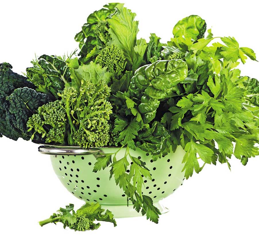 LEAFY VEGGIES