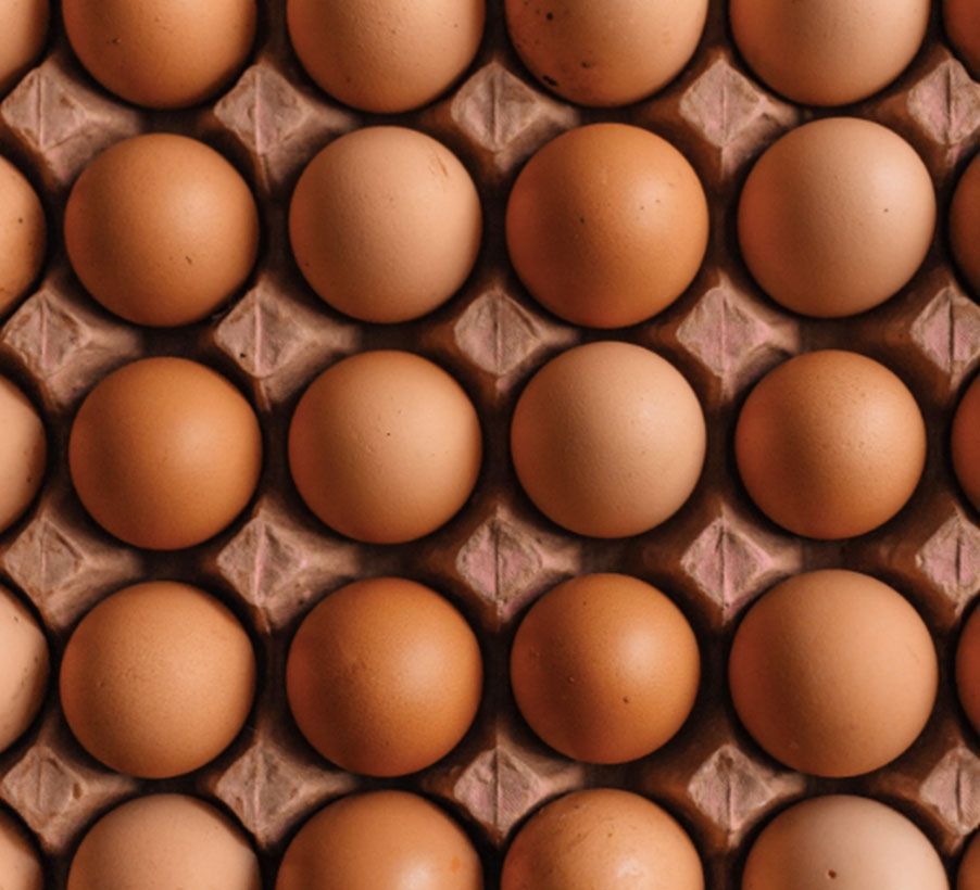 EGGS