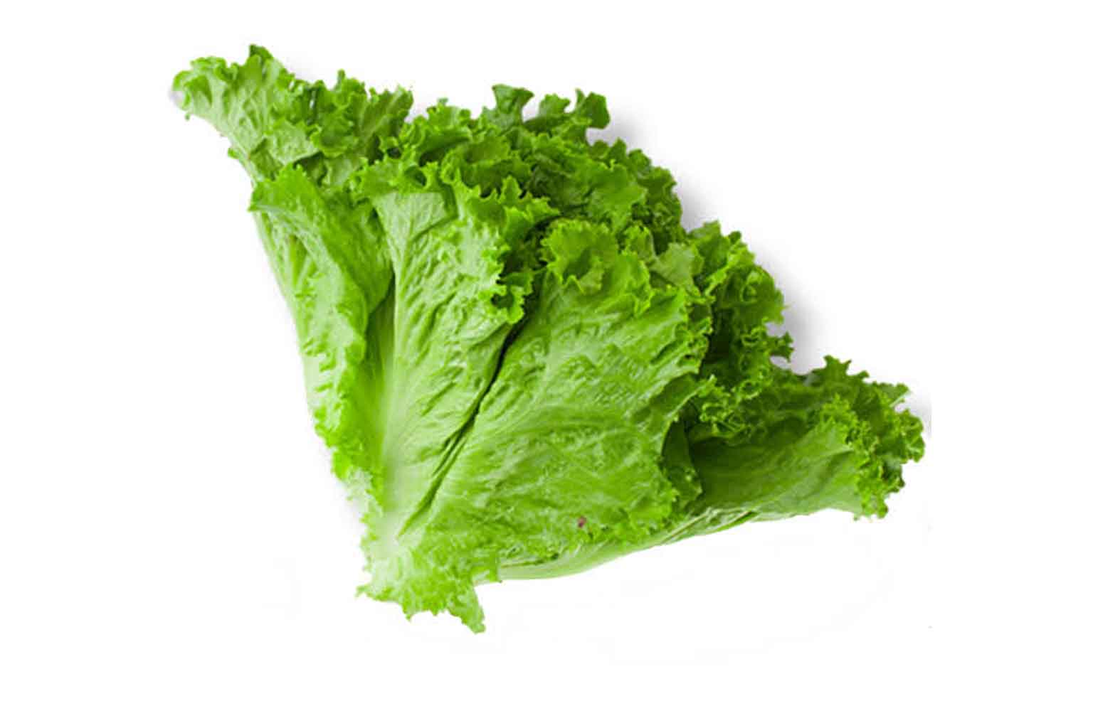 Lettuce and Greens