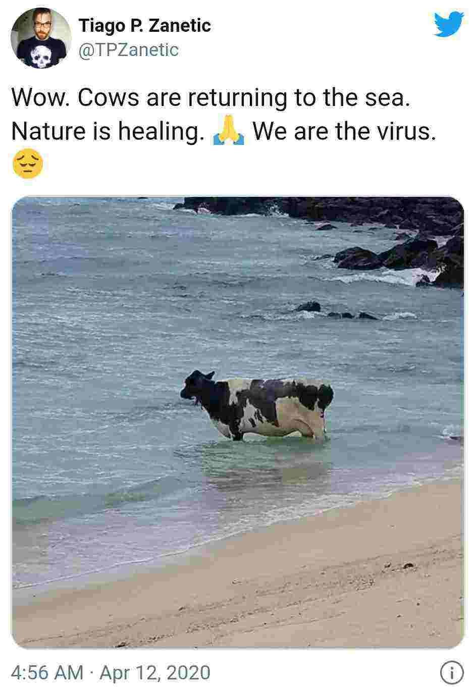 Nature is healing Meme