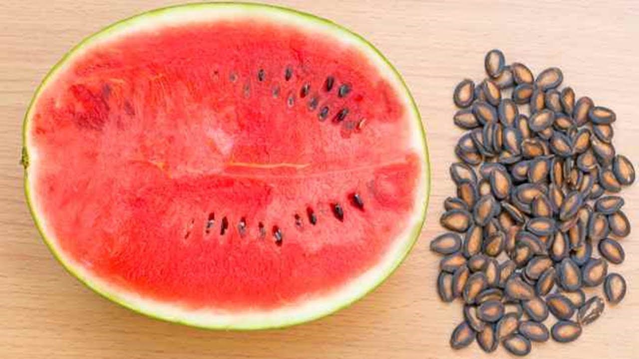 Watermelon Seeds