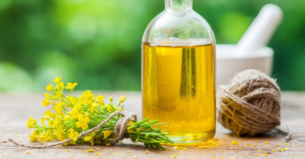 Canola Oil vs Vegetable Oil