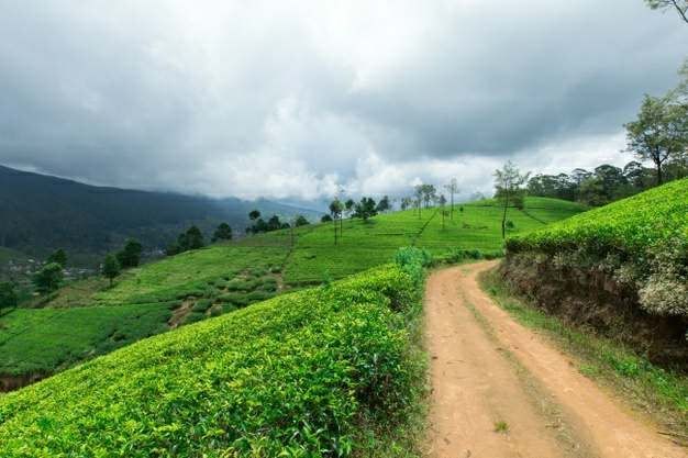 West Bengal