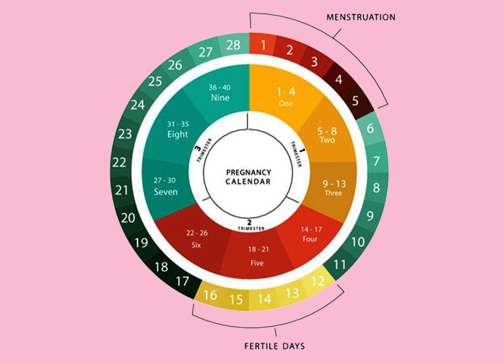 safe-days-to-have-sex-with-least-chance-of-getting-pregnant